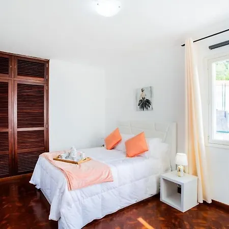 Apartment Dream Paradise