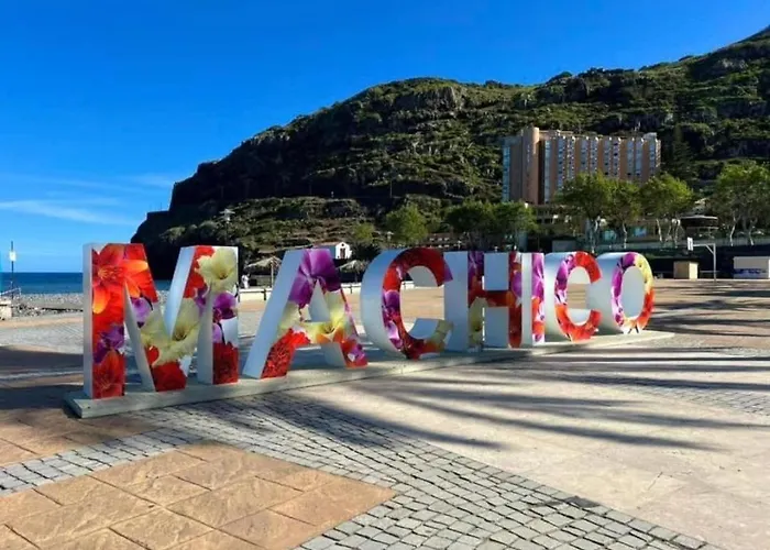 Apartment Dream Paradise